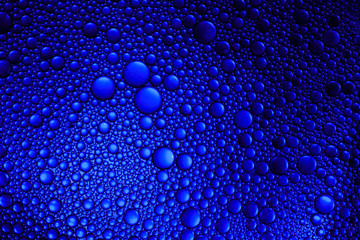 oil bubbles macro on colourful background photography