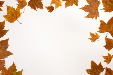 Background with colorful autumn leaves and place for text