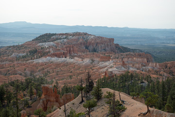 Fototapeta na wymiar Bryce Canyon with red stones and a white line of stones