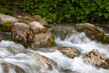 Naklejka na ściany i meble A stream of water flows over stones with green moss, naturalness in nature. Small picturesque waterfall .