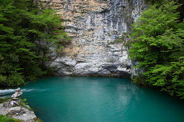 Green picturesque lake with trees and stones. Landscape of nature in travel and tourism. A beautiful lake.