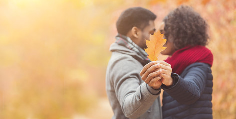 Romantic couple hiding behind oak leaf kissing in autumn park