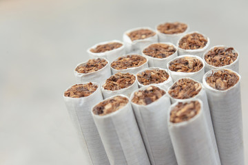 Close up cigarettes background on white background