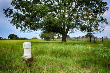 Unfinished draw-well. Texas rural view of grass field with pecan tree on background