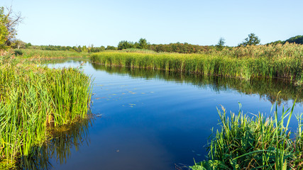 Country river landscape