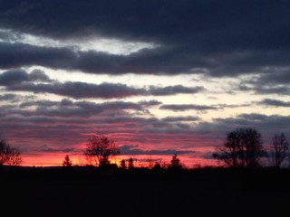 Fototapeta premium Trees silhouette with sunrise