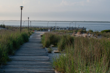 Obraz premium Beach Trail