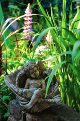 Garden Cherub