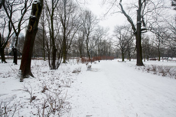 A park in warsaw covered with snow, Poland