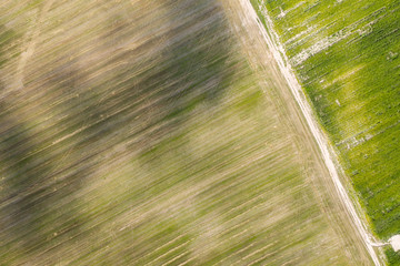 farm field, view from above