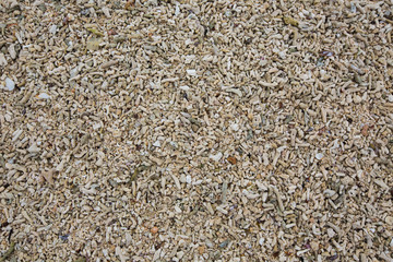 small sea stones randomly scattered