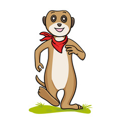 Fototapeta premium erdmännchen