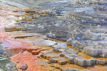 Sinterterassen in Mammoth Hot Springs im Yellowstone Nationalpark