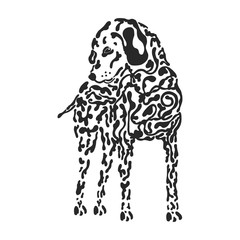 Fototapeta na wymiar dog Dalmatian black and white drawing. hand drawn