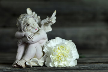 Angel and white carnation flower on wooden background