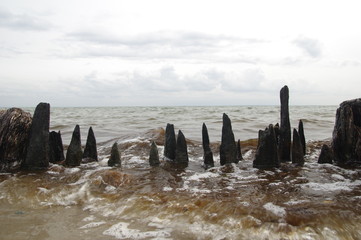 Ostseeküste mit Holzpollern