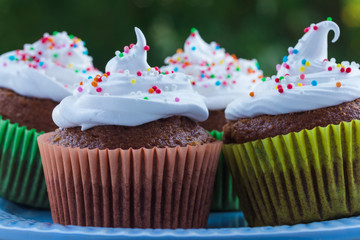 Delicious muffins with white cream and colored sprinkles on a wooden table on a background of green foliage.