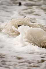 Fototapeta na wymiar Close-up of Foamy Water Rolling onto Shore
