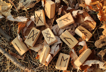 Top view, close up on runic alphabet. Nature and vegetation. The concept of magic and mysticism