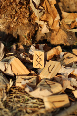 The Ingus runic alphabet with the central rune lies in the sun at sunset, on yellow foliage. Set for a magic ritual. Bluer effect