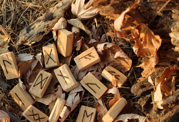 Top view of a large number of wooden runes that form a runic circle lie behind a broken wooden stump. Nature and vegetation. The concept of magic and mysticism
