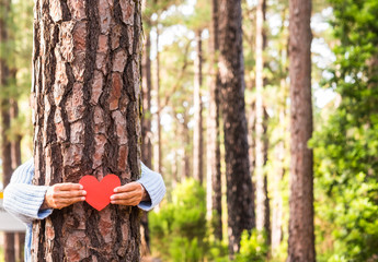 Adult woman hand in the woods puts a heart shape on the trunk to tell us that every tree has a...
