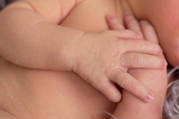 baby hands of a newborn baby
