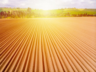 Furrows rows in a plowed field prepared for planting potatoes crops in spring.