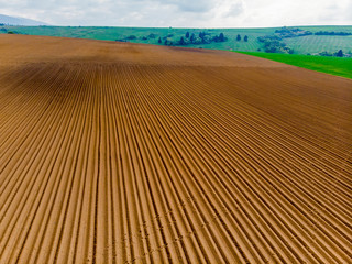 Furrows rows in a plowed field prepared for planting potatoes crops in spring.