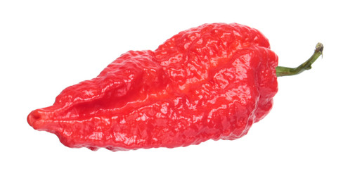 Fototapeta premium Fresh red chili pepper (Capsicum chinense) close-up isolated on white background