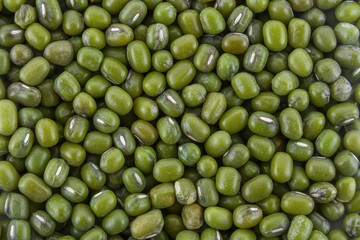 Mung bean