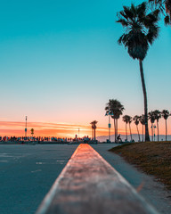 Venice Beach Sunset