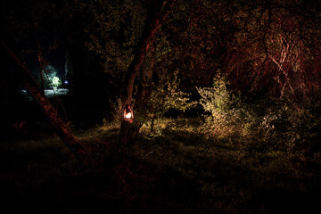 Horror Halloween concept. Burning old oil lamp in forest at night. Night scenery of a nightmare...