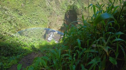 Rainbow in nature  with grass on view