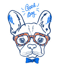 Portrait of a bulldog in leopard orange  glasses and blue bow tie on white background. Vector illustration. T-shirt print.