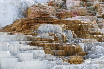 mammoth springs 1