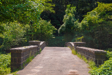stone bridge or pathway leading into nature