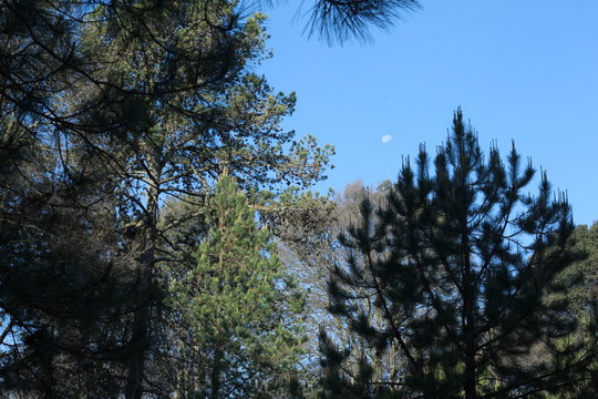 รูปภาพNanacamilpa เลือกดูภาพถ่ายสต็อก เวกเตอร์ และวิดีโอ259 Adobe Stock