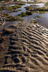 Patterns in the sand