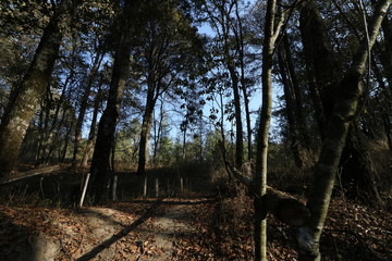 El Cipres Nanacamilpa Tlaxcala. 