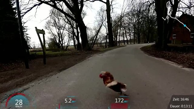 That was close - almost drove over a chicken with the crossbike!