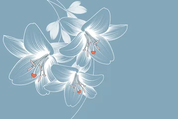 Foto op Plexiglas Abstract  hand drawn floral pattern with lily flowers. Vector illustration. Element for design. © KatyArtDesign