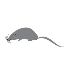 the symbol of the two thousand twentieth year of the rat	