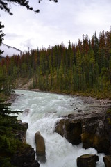 Sunwapta Falls