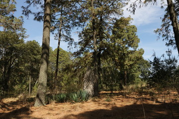 Hacienda de la Luz Nanacamilpa Tlaxcala.