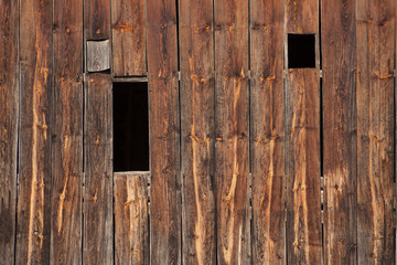 Wood Forest Background