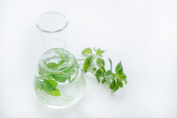 pipette over test tube dropping sample chemical into sample herbal plant , biotechnology research concept. 