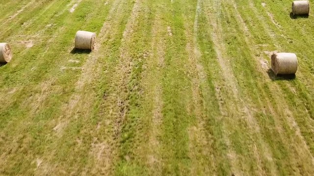 Flying over the freshly cut hay field to reveal the bales rolled up along the way. A stead overhead aerial drone shot.