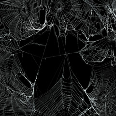 Real spooky spider webs hanging together to make a frame. Halloween background.