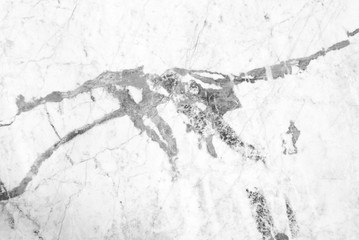 Fototapeta premium marble